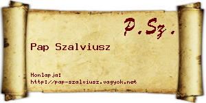 Pap Szalviusz névjegykártya